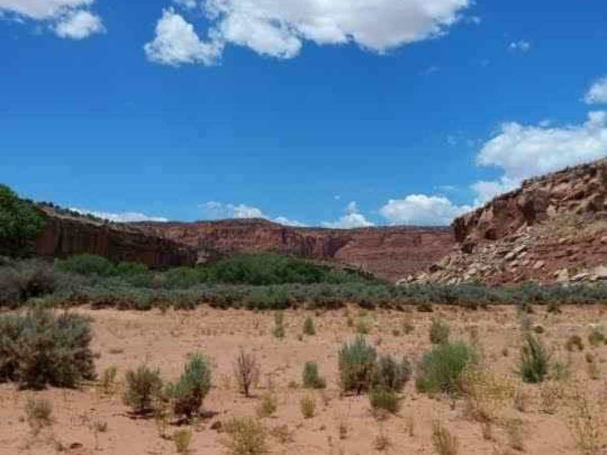 Wolverine Loop Road - 0640 photo 2
