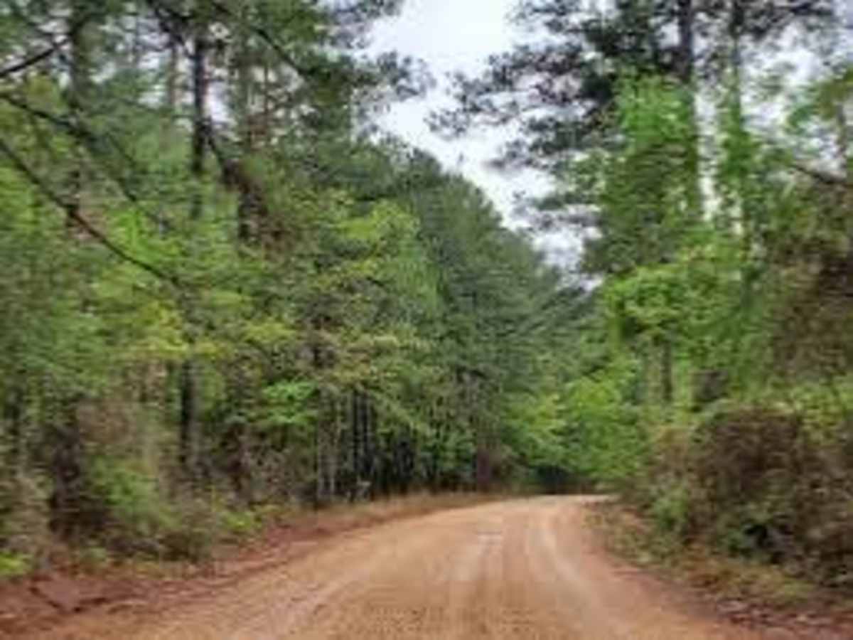 Long Caney bypass photo 5
