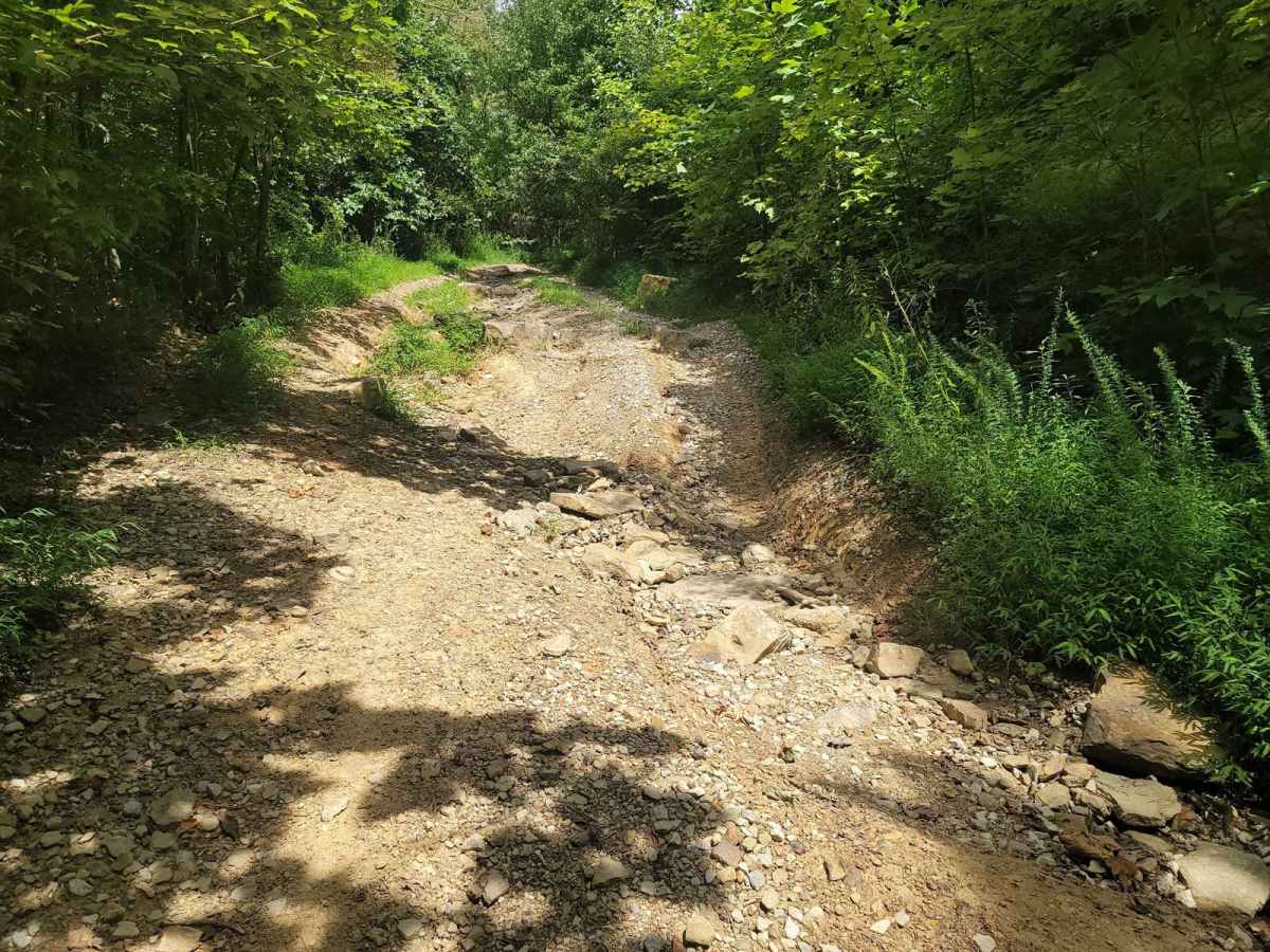G16 - Sassafras Mountain photo 5