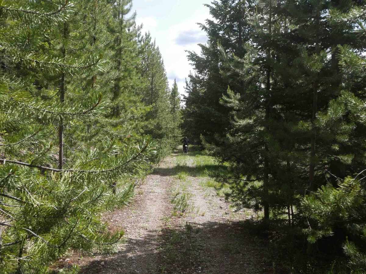 5706 ATV photo 5