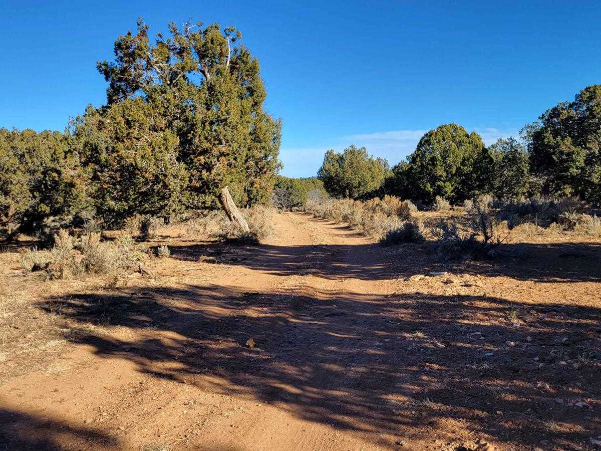 BLM 1647 trail photo
