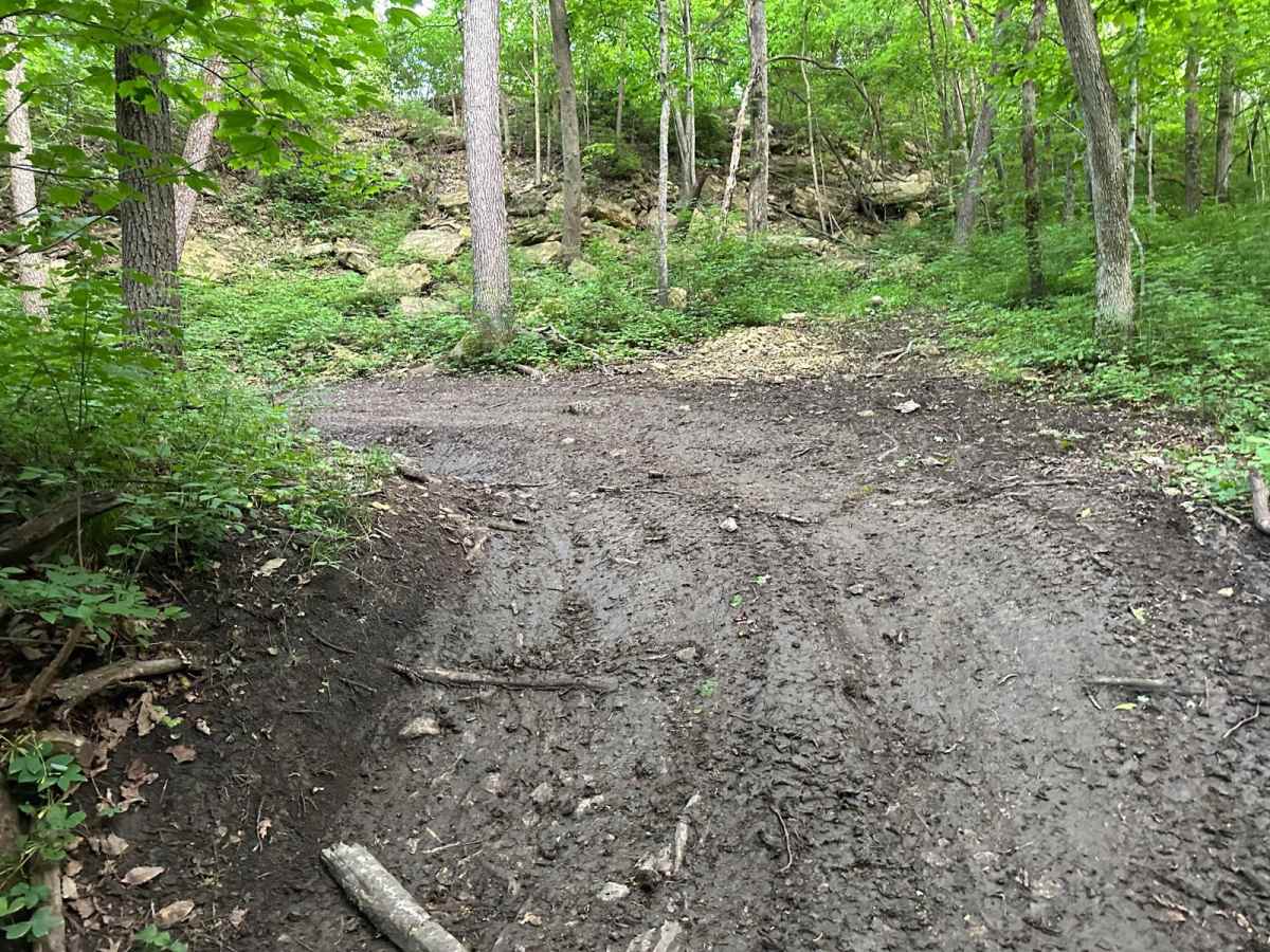 Ian's Elbo 156 photo 4