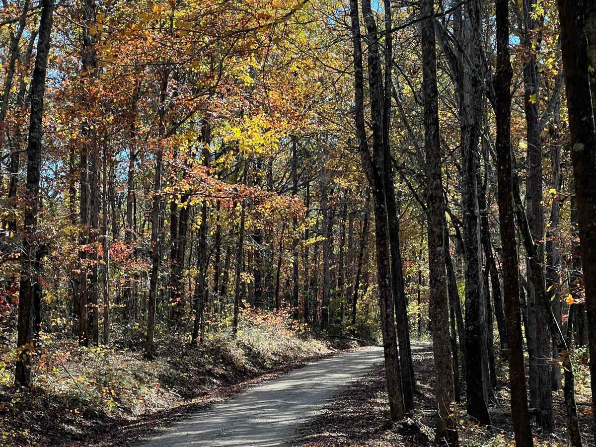 Indian Tomb Hollow Road trail photo