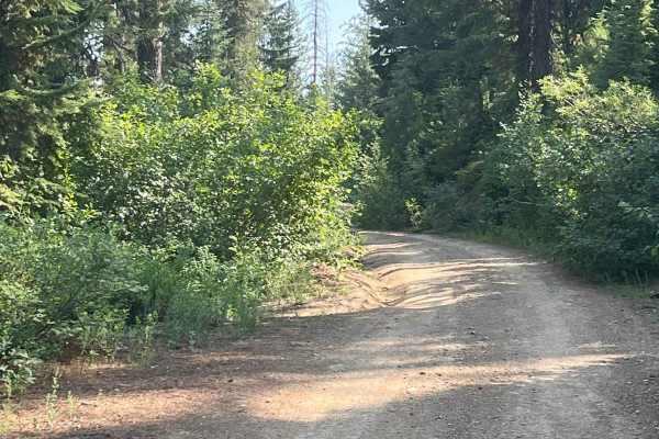 Cedar Mountain 389