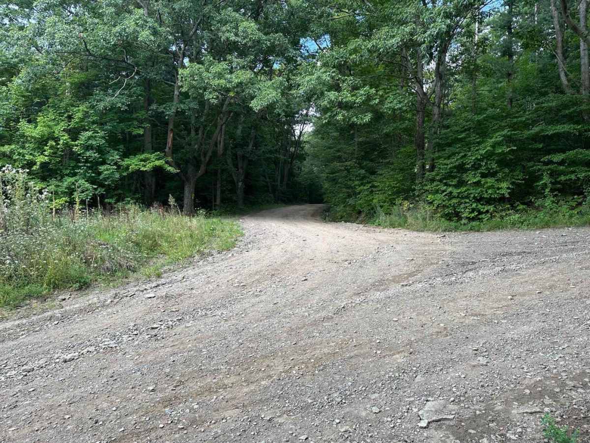 Emerson Road photo 6