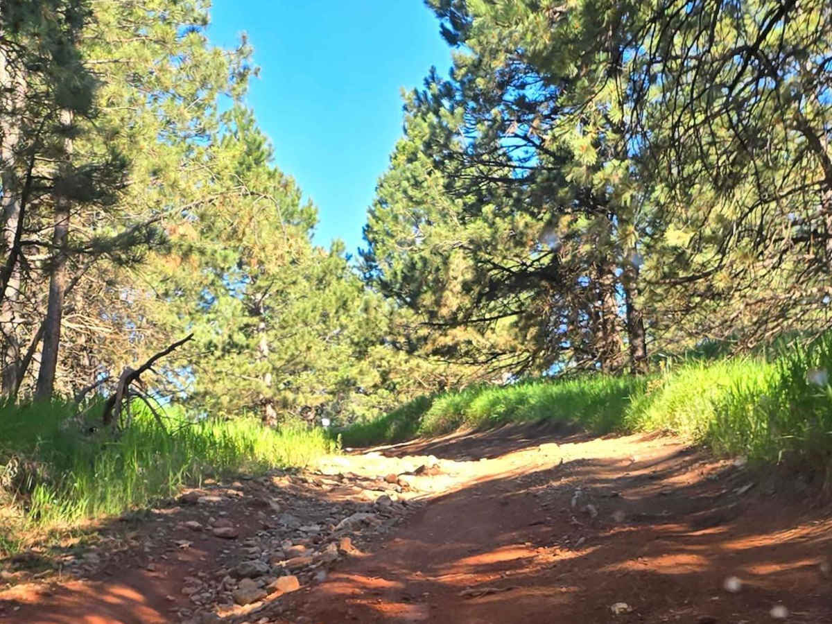 Black Hills Forest Access from Sturgis photo 5