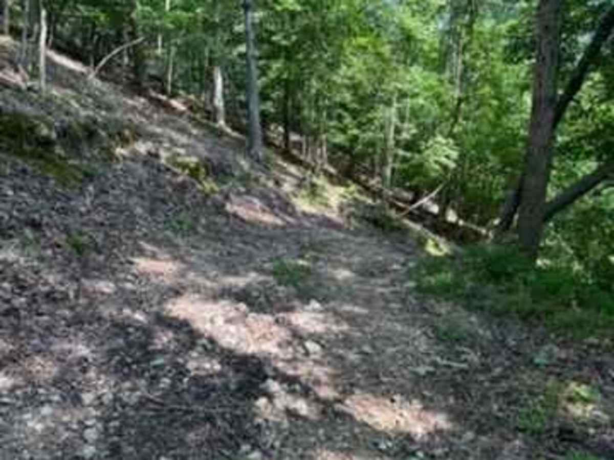 Jay's Trail photo 5
