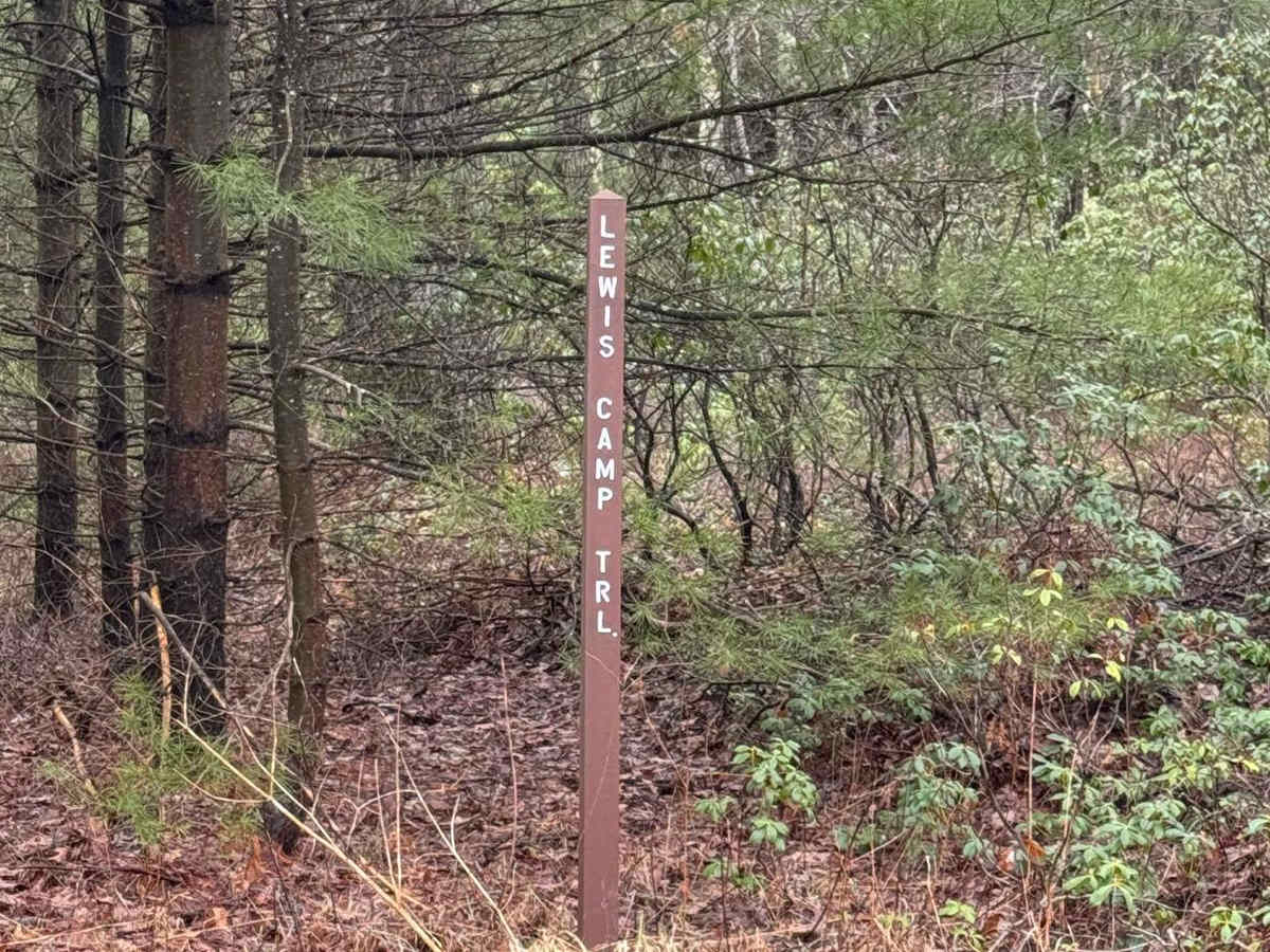 Lewis Camp Trail photo 2