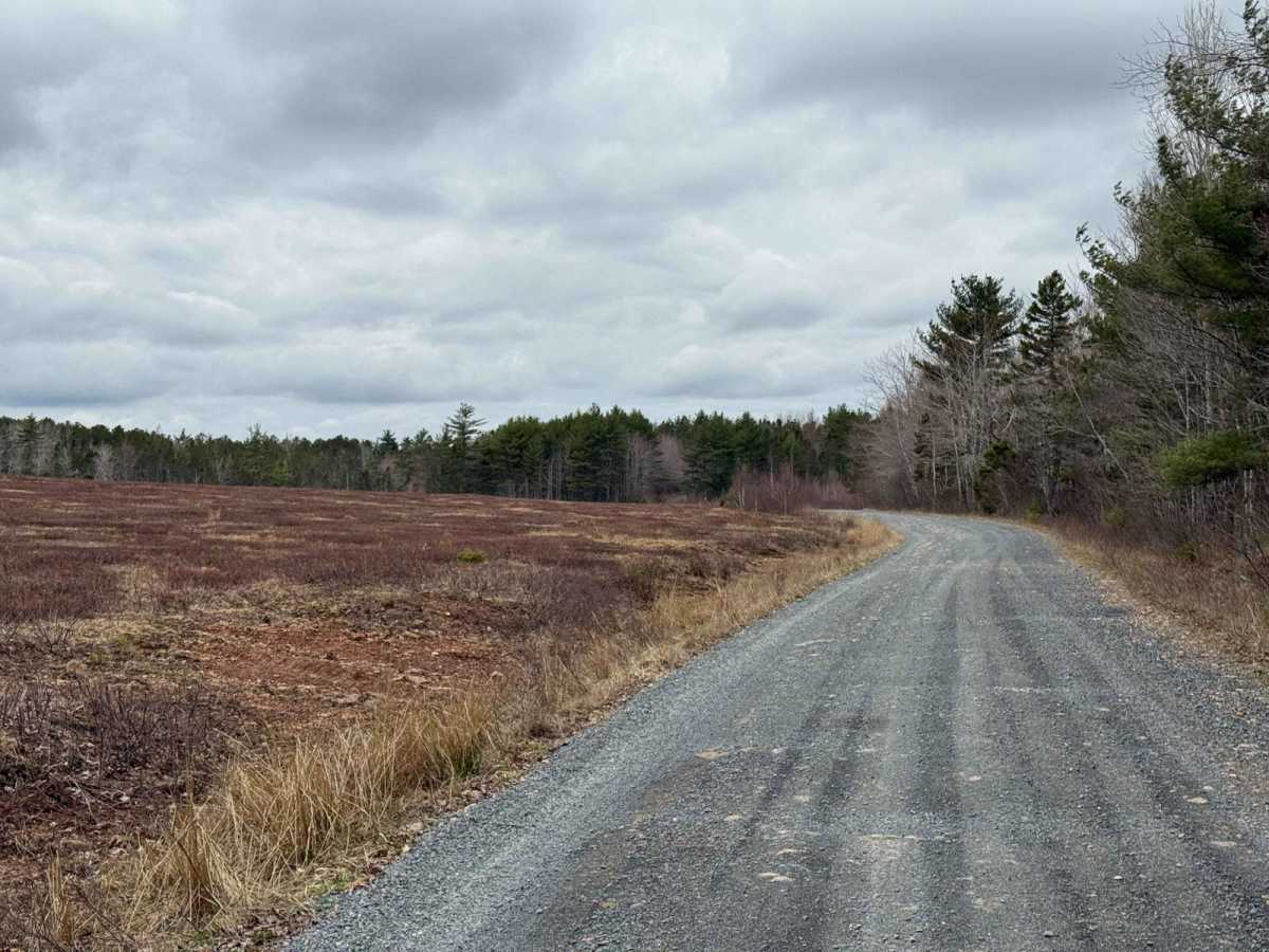 Straight Road Trail photo 4