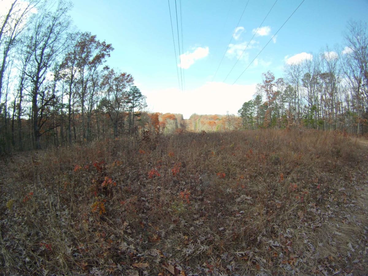 Allen Branch FS 4004 photo 4