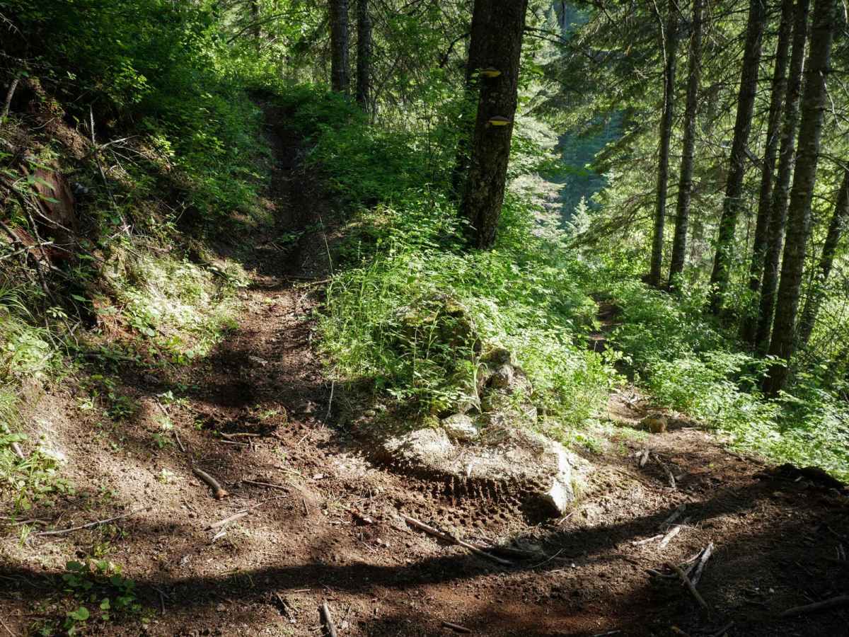 Cabin Point photo 3