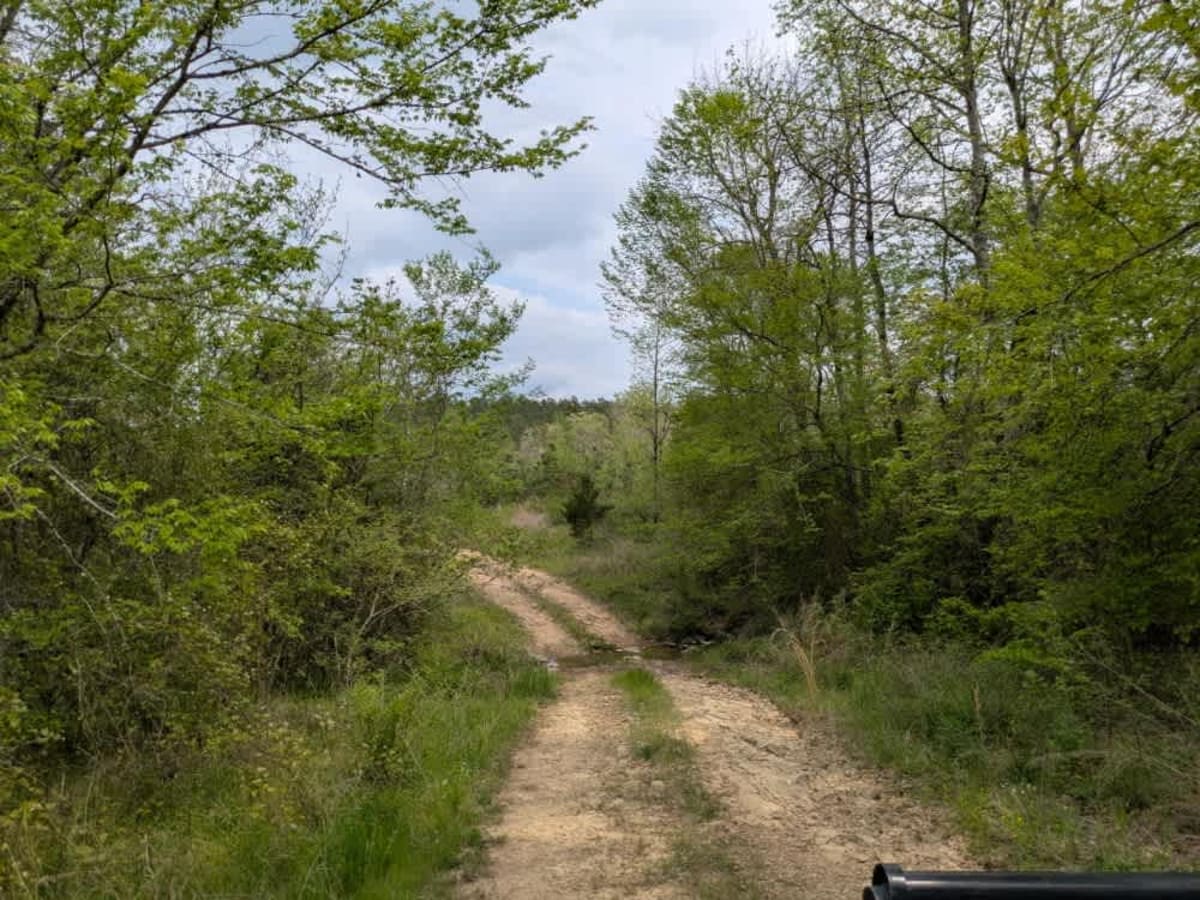 51705 photo 3