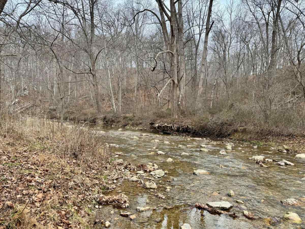 Fishing Creek to Hawk Point photo 4