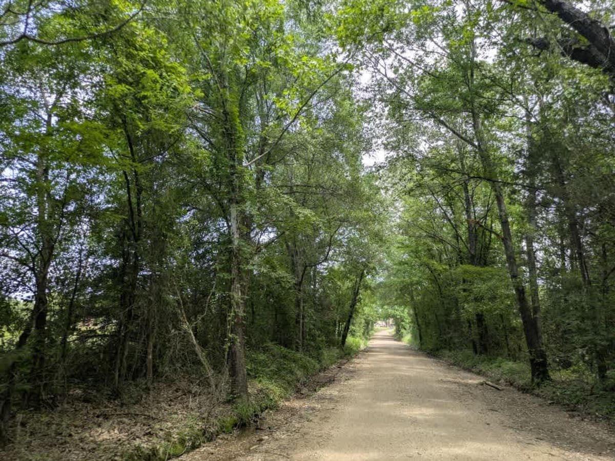 D1059 trail photo
