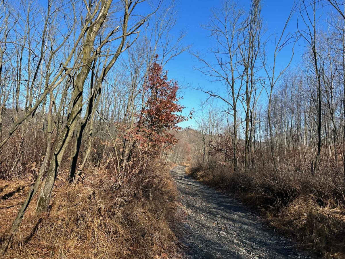 Darkwater 14 photo 3