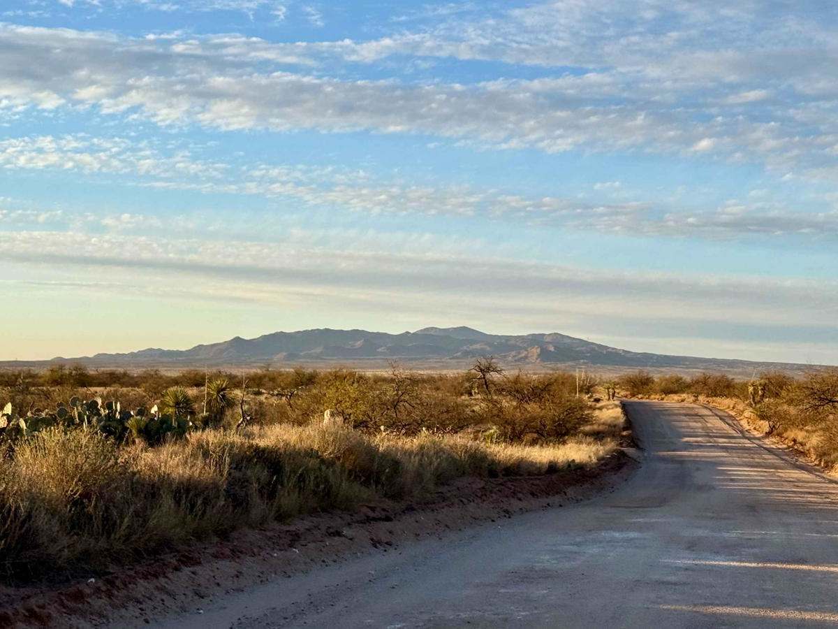 Willow Springs Road photo 6
