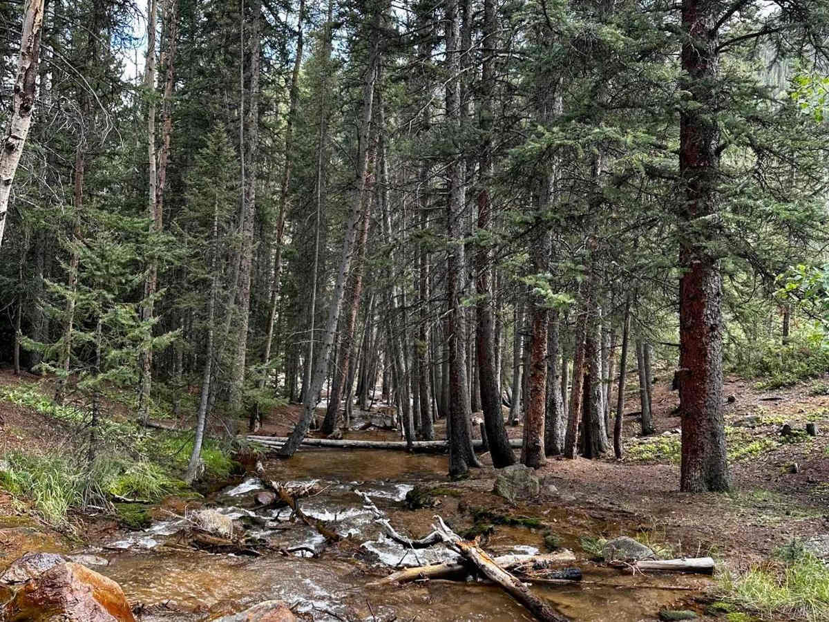 Upper Hall Valley photo 5