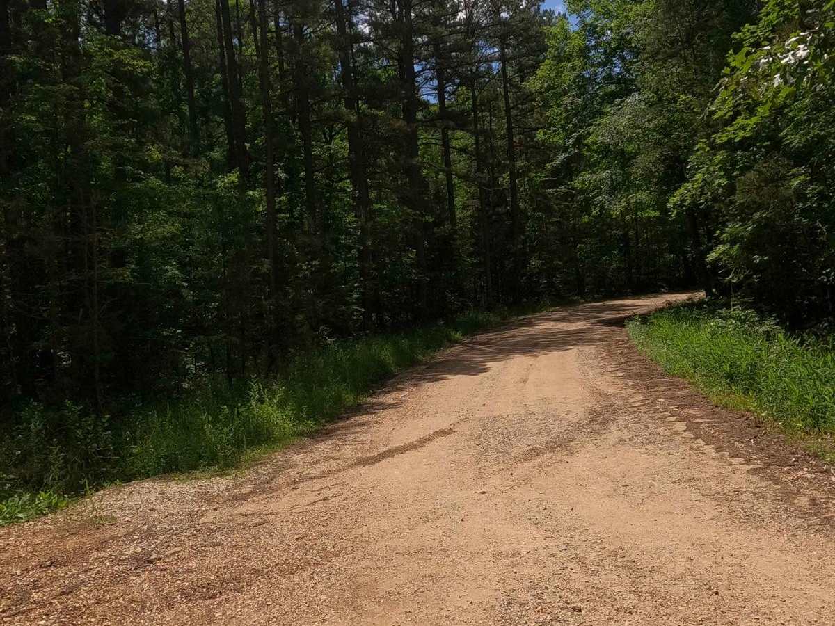 Crane Lake Recreation Area FRS 2117 photo 2