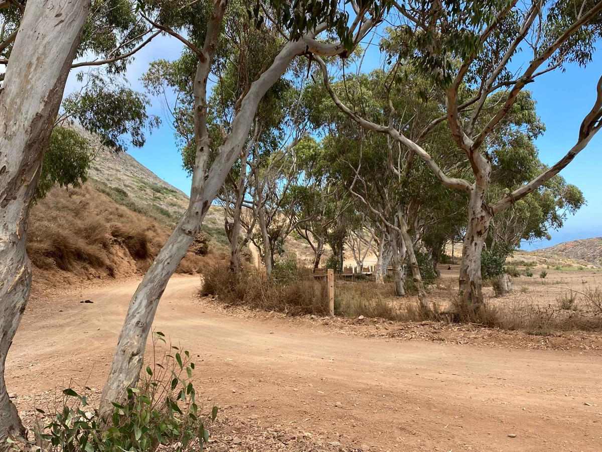 Rancho Estela Low Road photo 3