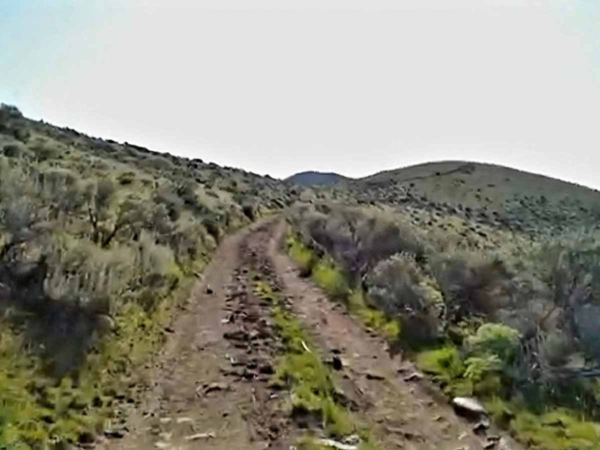 North Fork Road trail photo
