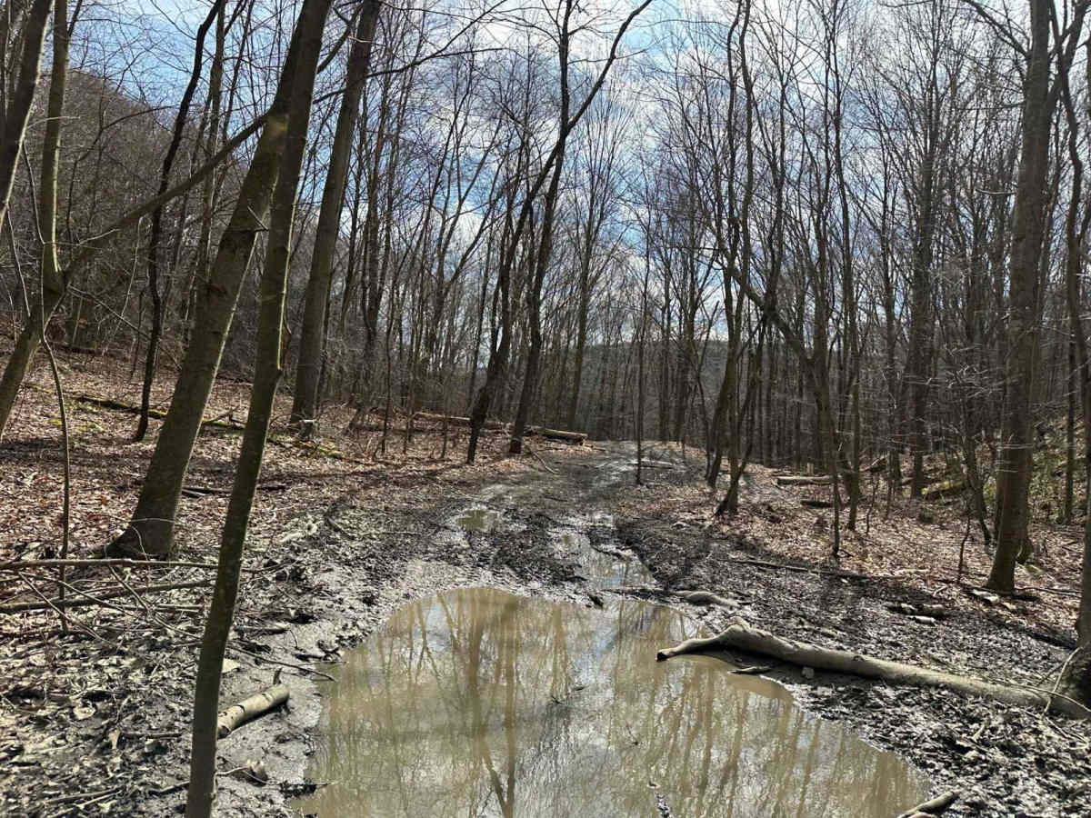 Ashland 60 trail photo