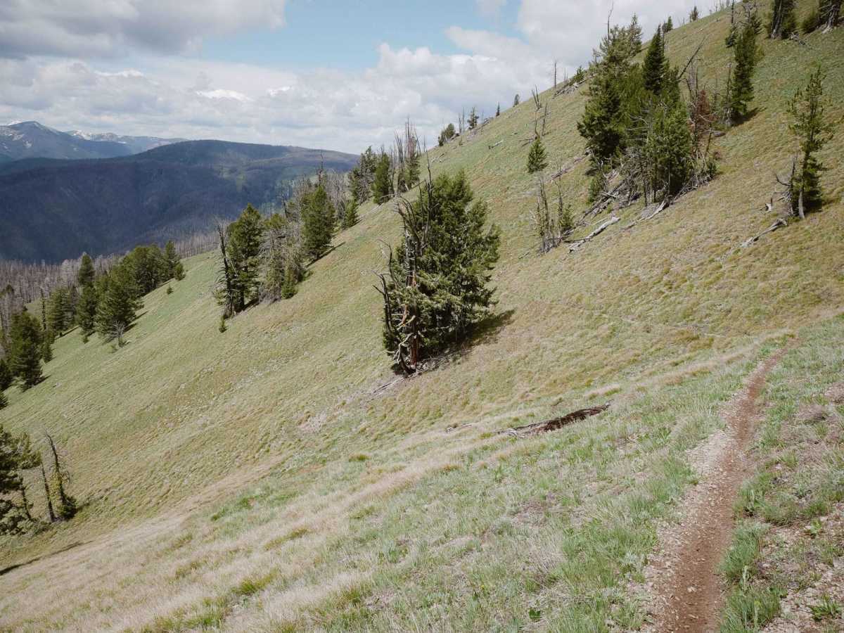 Three Mile Ridge trail photo