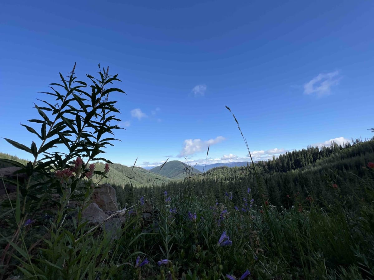 Wolf Mountain 2316 photo 6