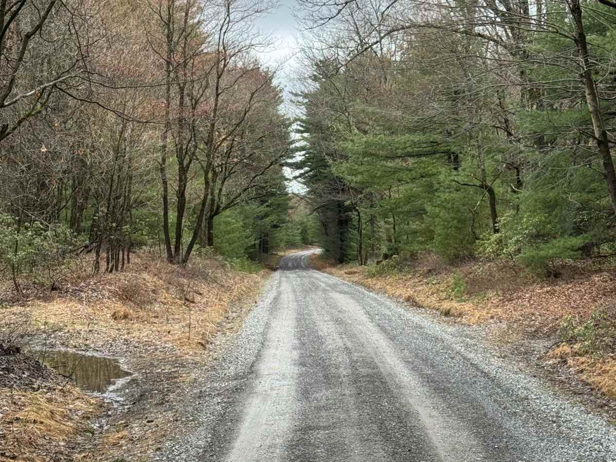 Dehaas Road photo 6