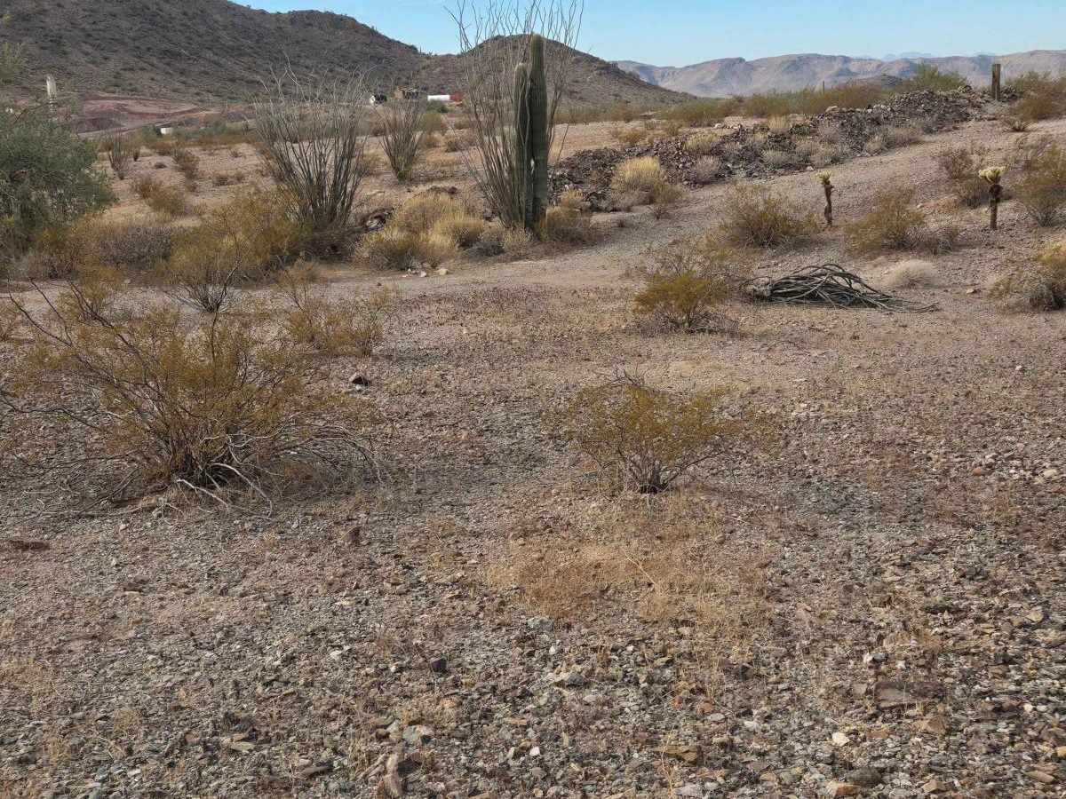 Sidewinder trail photo