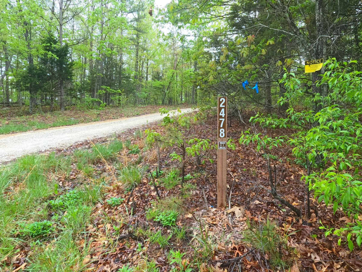 Cistern Ridge - FS 2478 trail photo