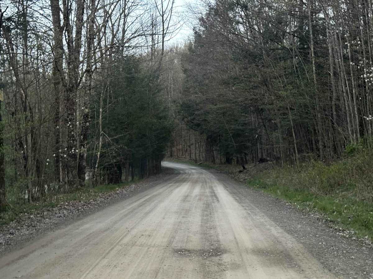 Mill Road photo 3