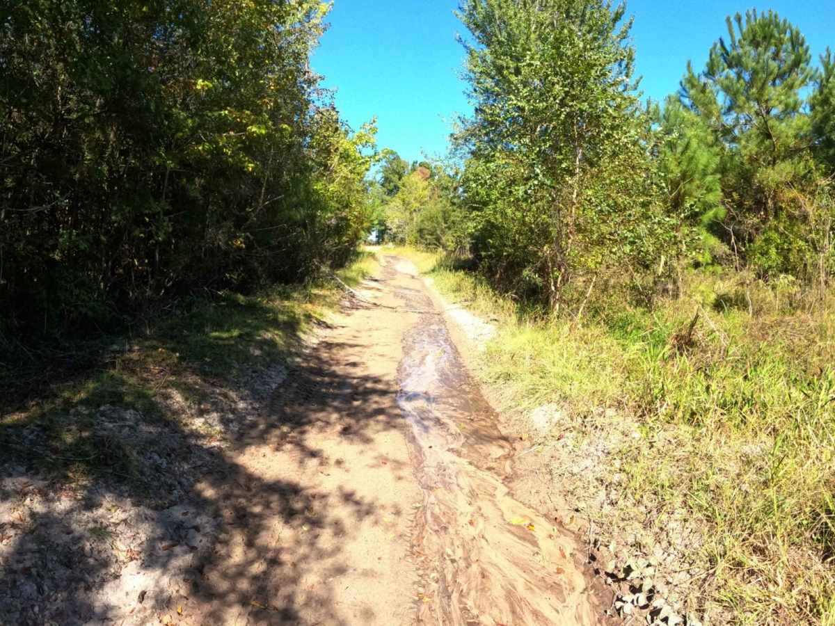 Radke Road photo 3