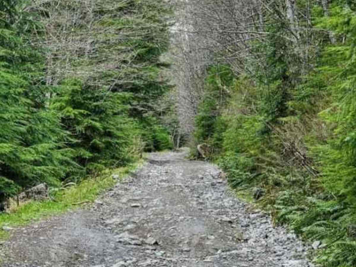 NF7720000 Overlook photo 5