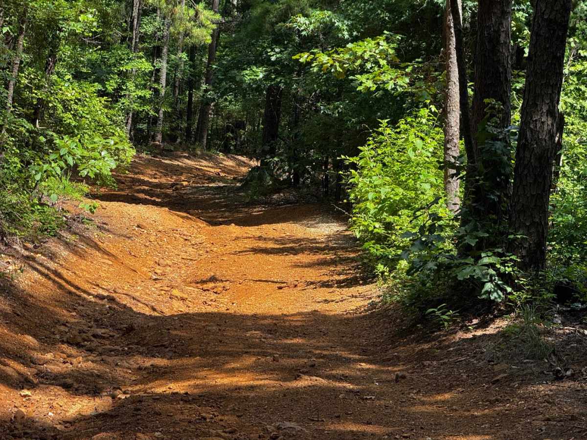 Old Camp Road photo 4
