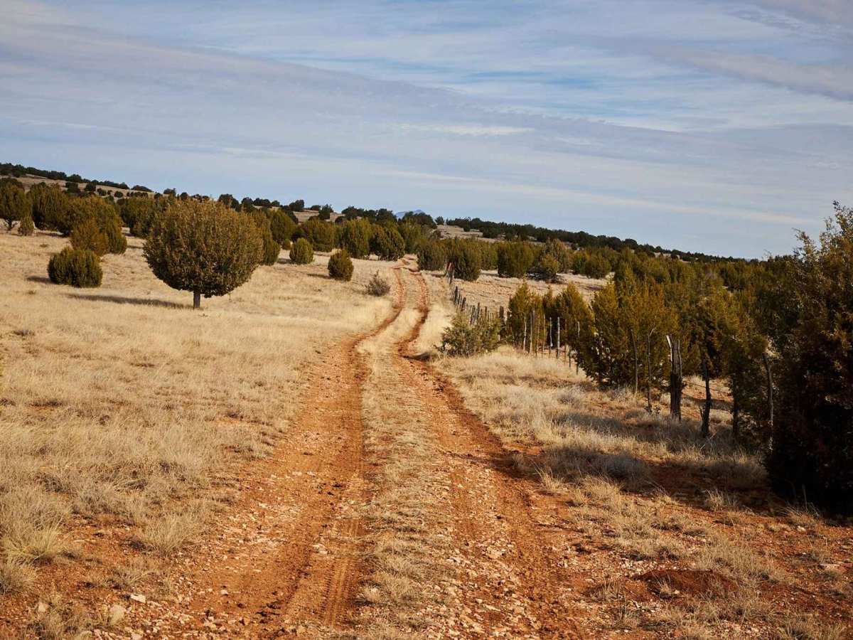 Dirt Fence Bypass photo 6
