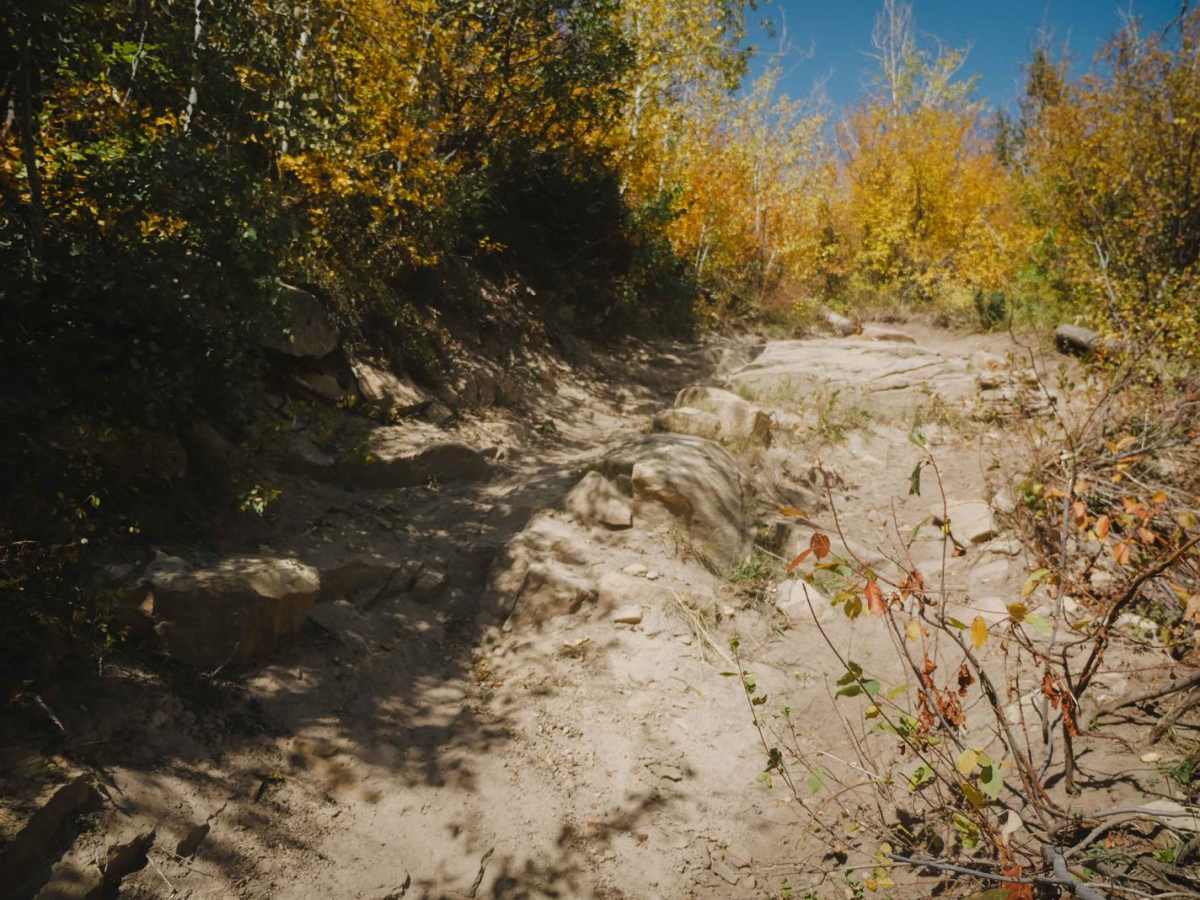 Lone Pine Trail trail photo
