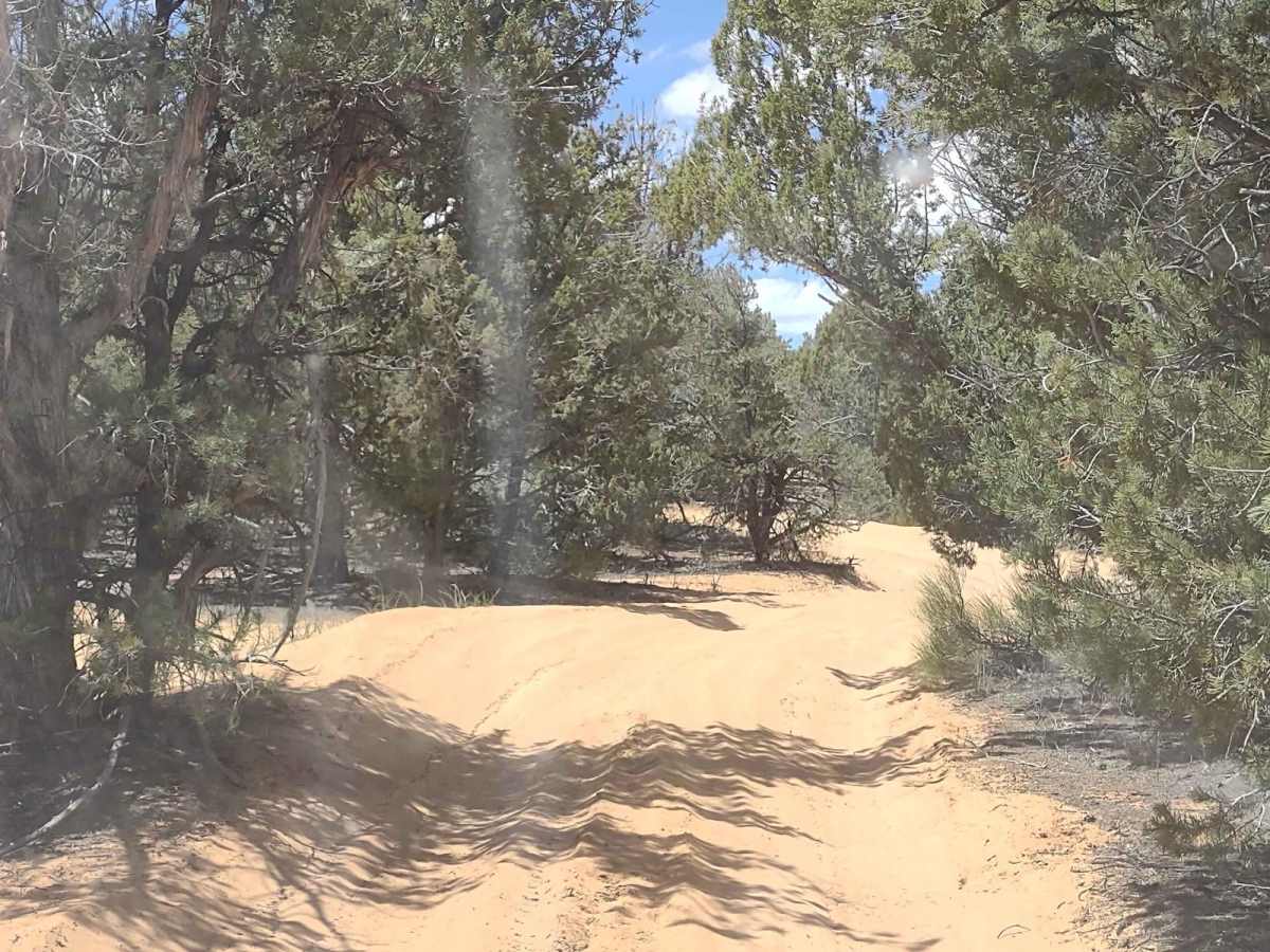 White Tower Trail photo 2