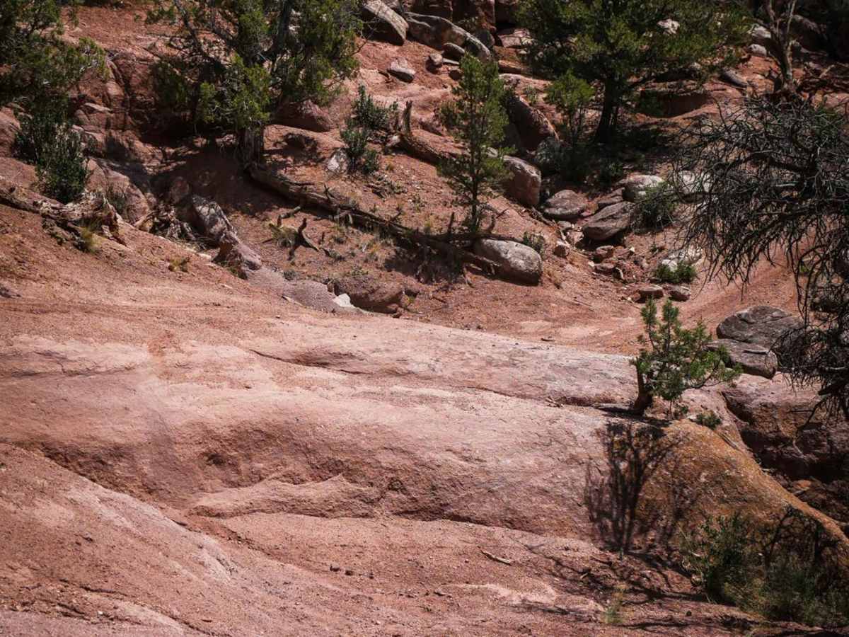 BLM 8600I trail photo
