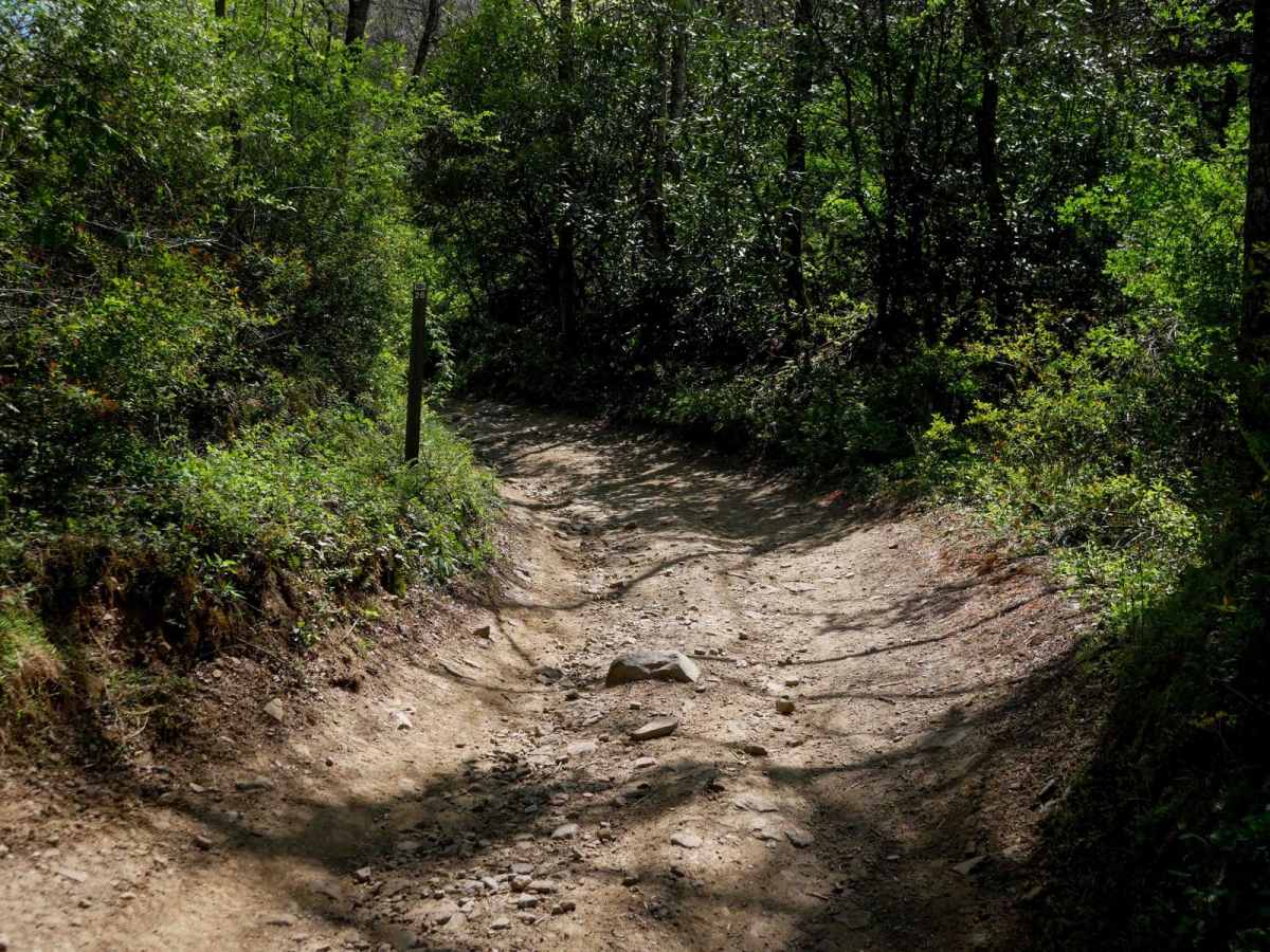 P26 trail photo