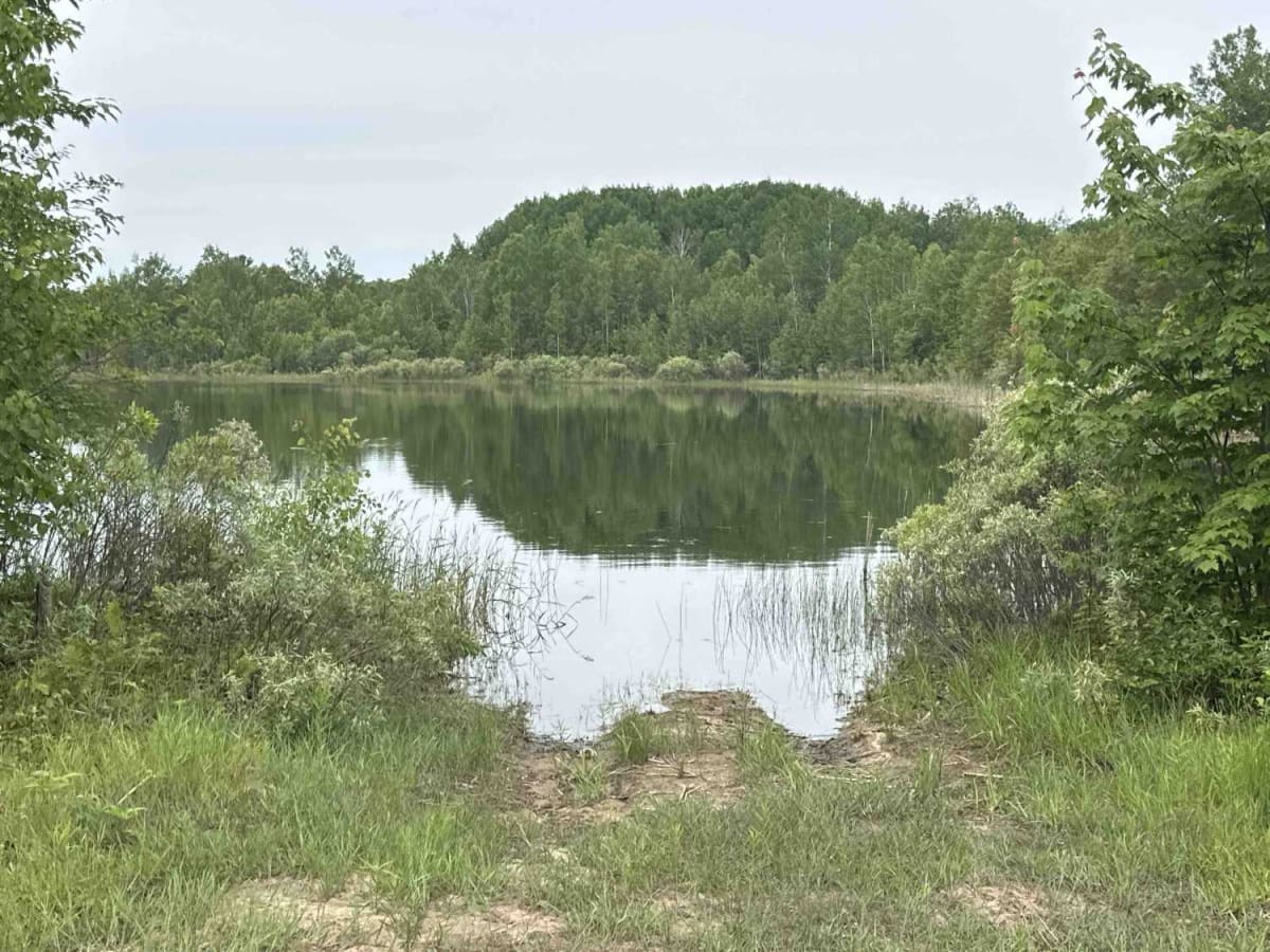 Trout Lake Spur photo 2
