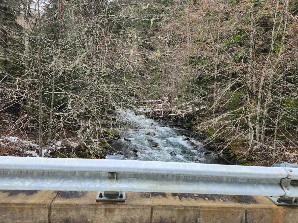 Dungeness Fork Run photo 3