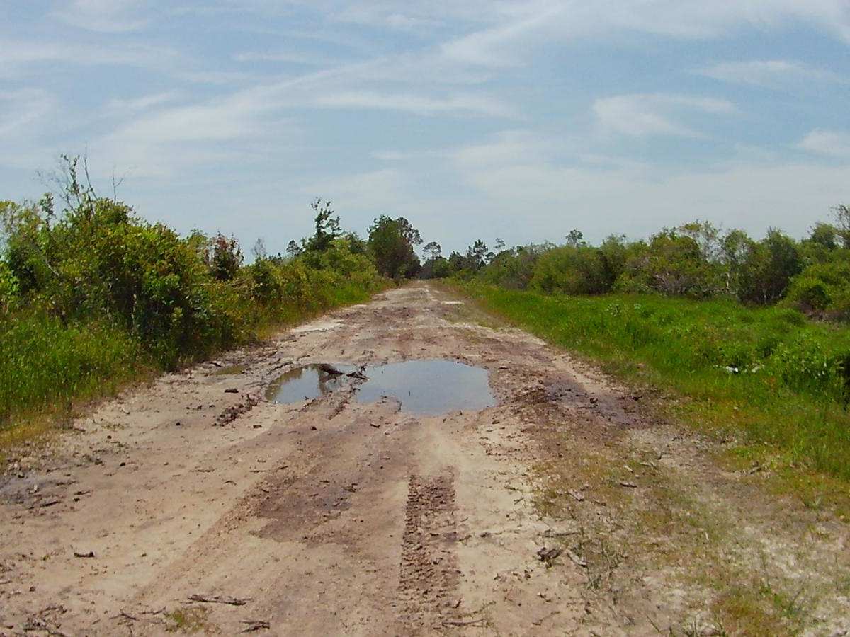 North Canal Road photo 4
