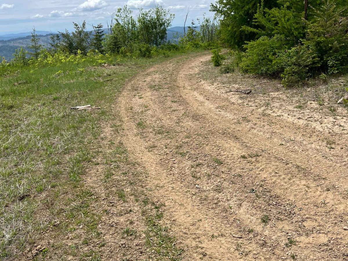 National Forest Development Road 3308 trail photo