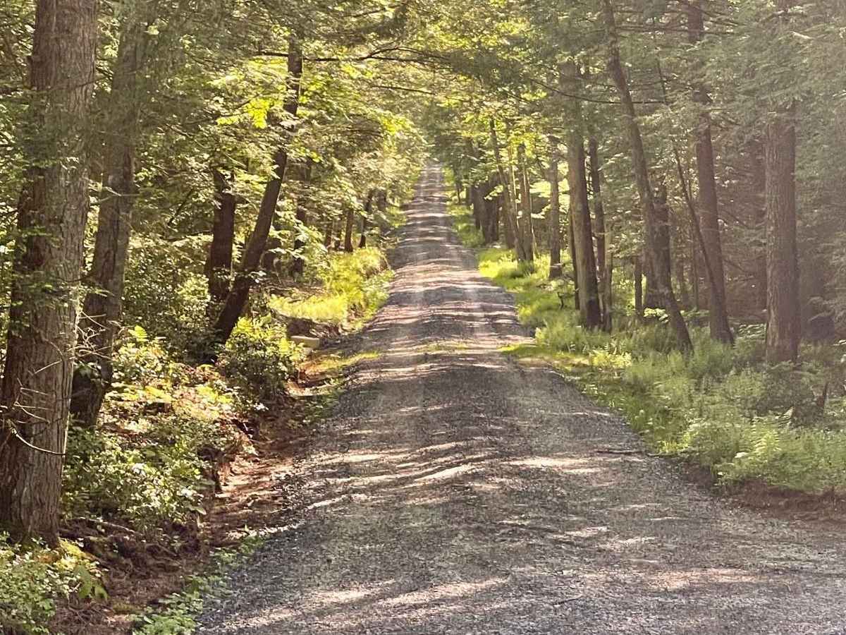 Cherry Run Road photo 6