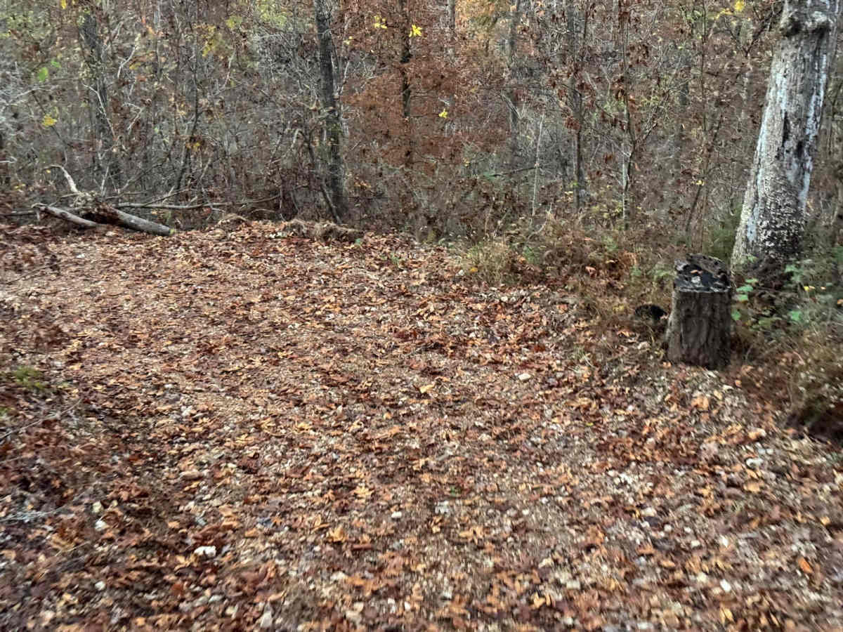 Red 161 photo 6