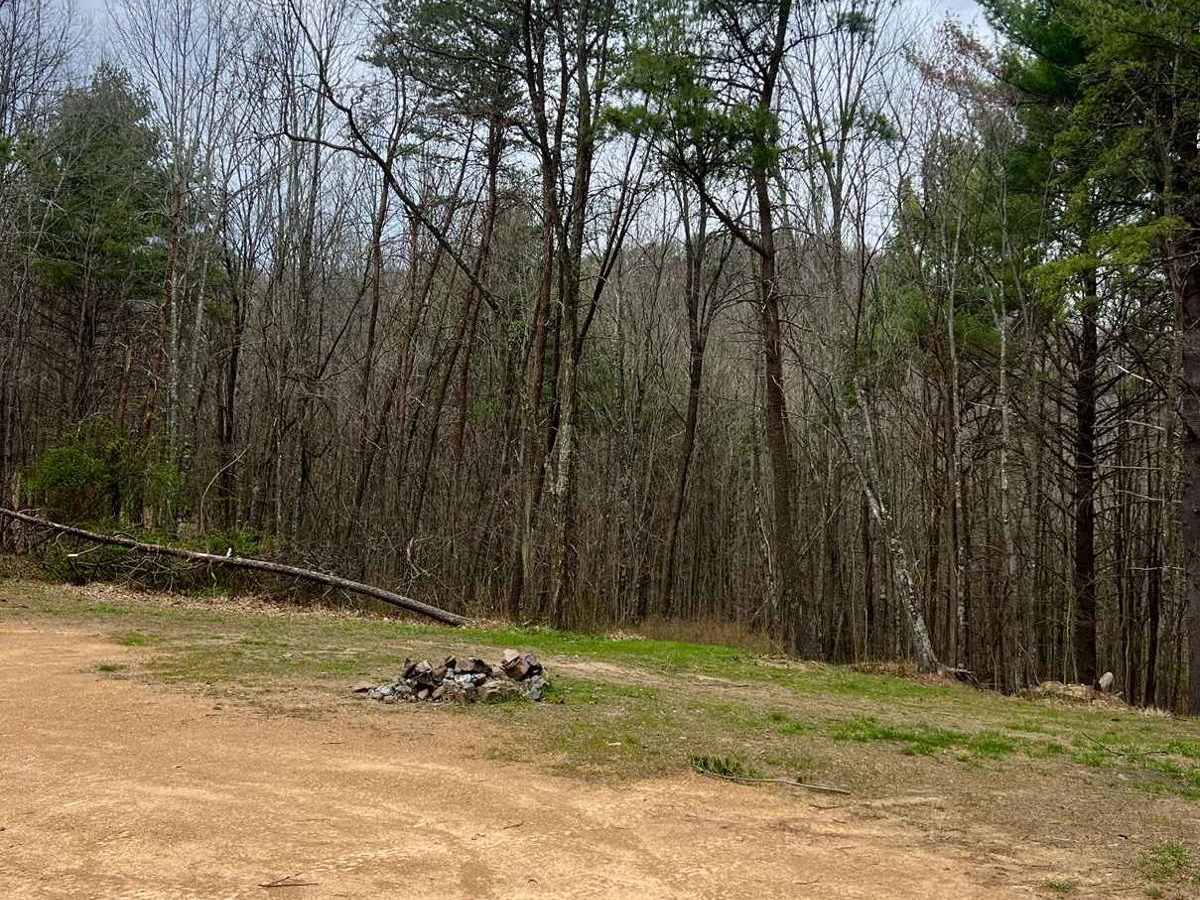 Gauley Ridge Forest Road photo 2