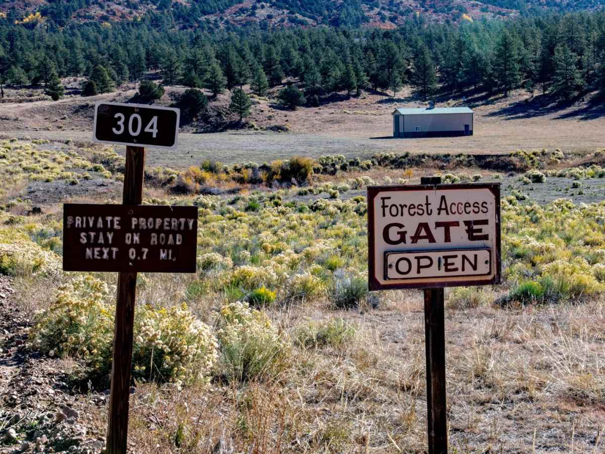 Bear Gulch Road FR 304 trail photo