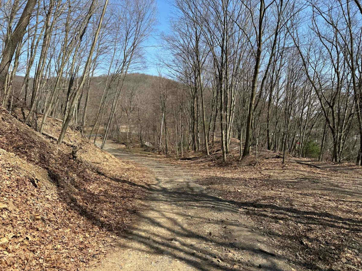 Ashland 176 trail photo