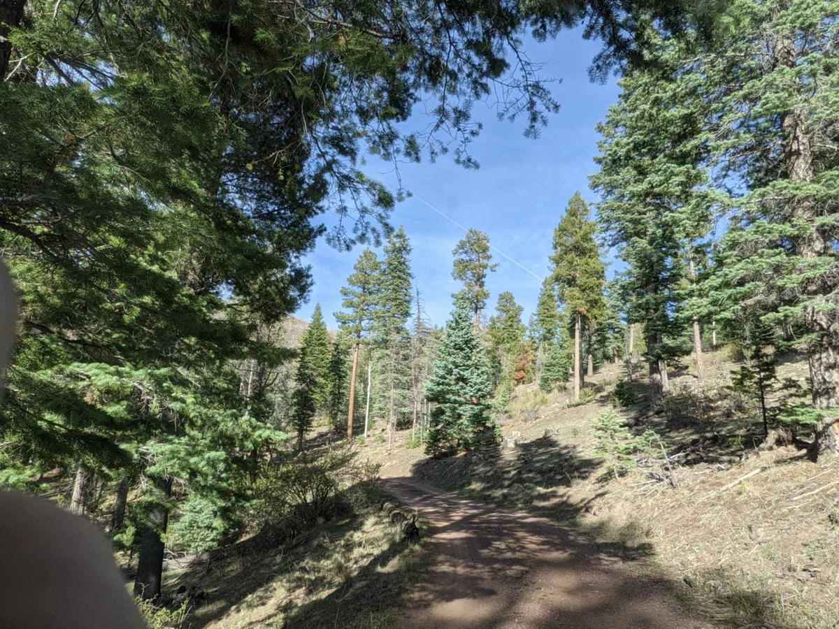 Alpine Memorial Overlook photo 3