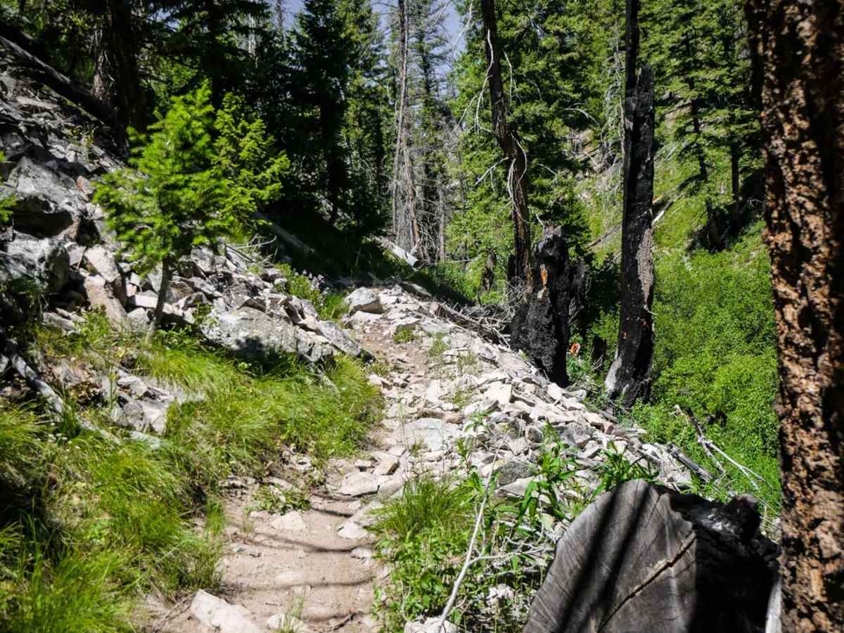 Deer Creek photo 2